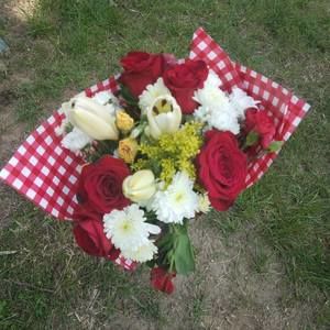 Meet your Posher, Jasmine